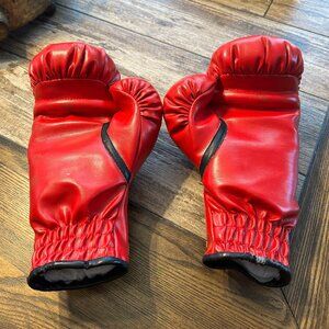 Everlast 12 oz Red Boxing Gloves